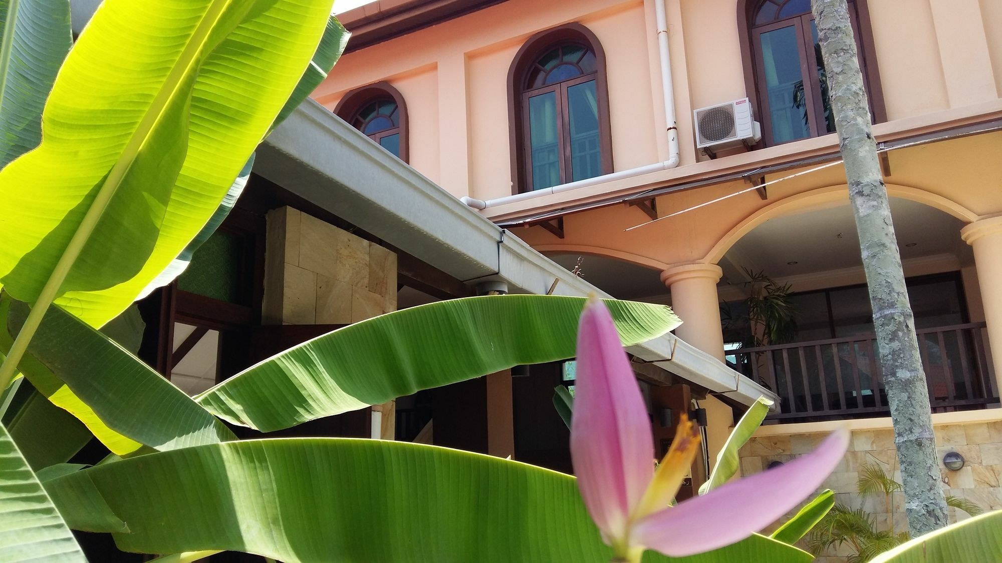Oyo 1149 Feringghi Hotel Batu Ferringhi Exterior photo
